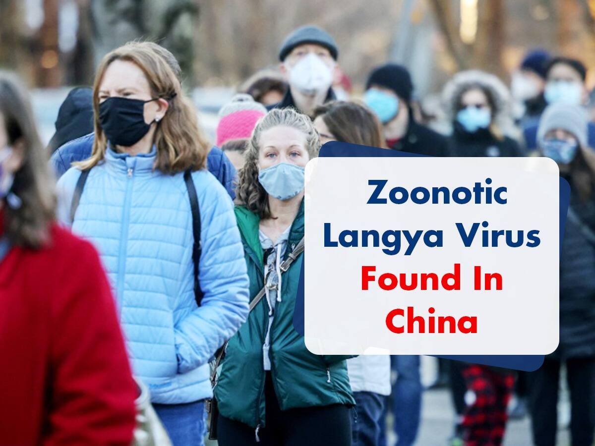 Zoonotic Langya Virus Found In China, 35 People, Several Animals Infected: Know All About It
